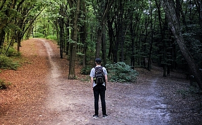 A person stands in a forest where the footpath splits in two directions. The left side of the path is elevated and light, and the right side of the footpath goes down a dark route.